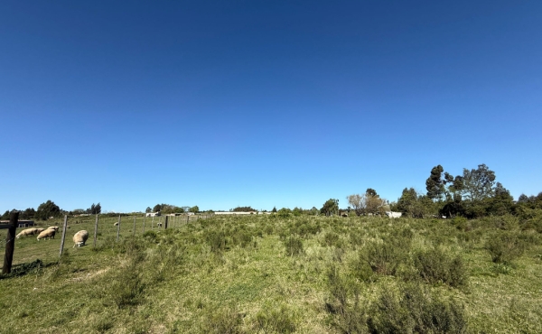 351b7f43-ae4c-46cb-a1ae-638a04562bd4