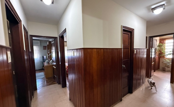 1d29ee20-df4a-425d-99f5-f1a9cb3ef245