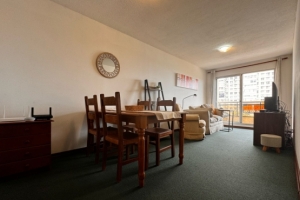 VENTA DE APARTAMENTO 2 DORMITORIOS LA BLANQUEADA / PQUE BATLLE